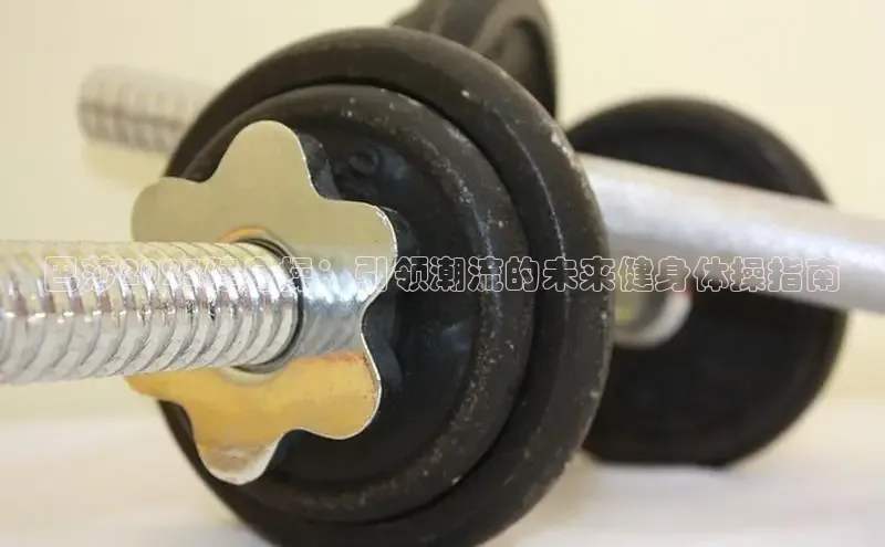 QY球友会体育网址